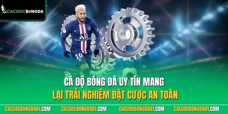 Cá độ bóng đá uy tín mang lại trải nghiệm đặt cược an toàn 