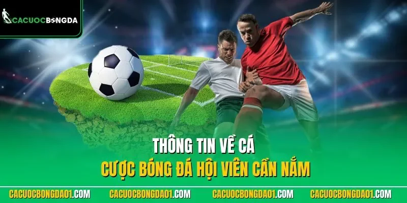 Thông tin về Cá Cược Bóng Đá hội viên cần nắm